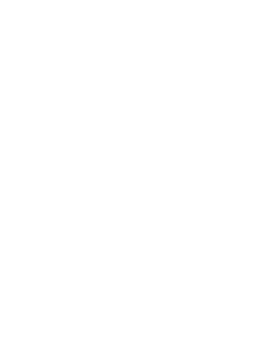 Black Brick Society